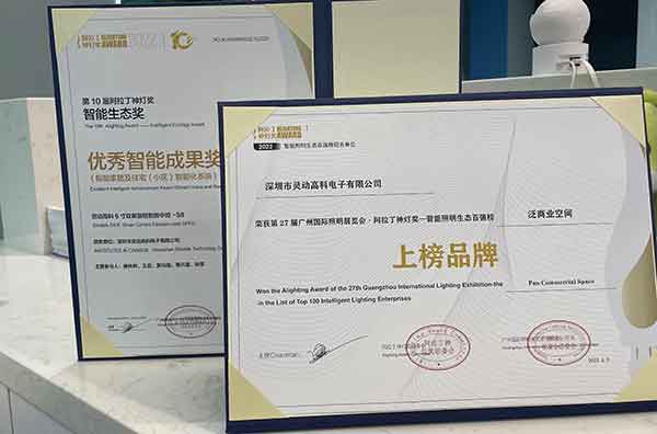 灵动高科荣获第十届阿拉丁神灯奖两大奖项